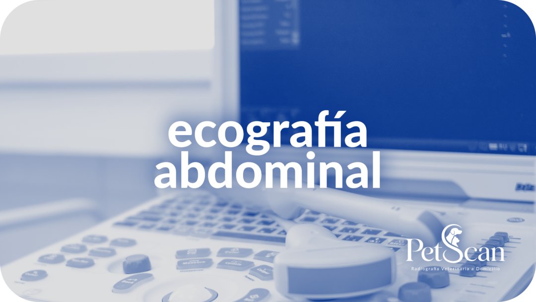 Ecografía abdominal