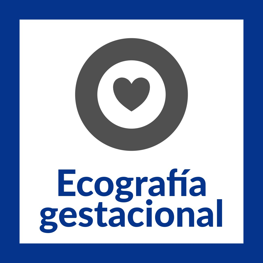 ecografía gestacional